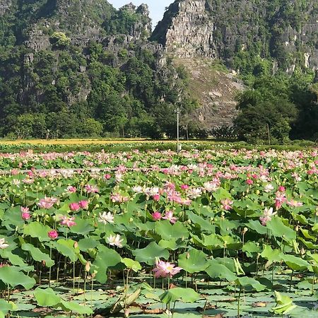 Tam Coc - Thanh Homestay Νιν Μπιν Εξωτερικό φωτογραφία