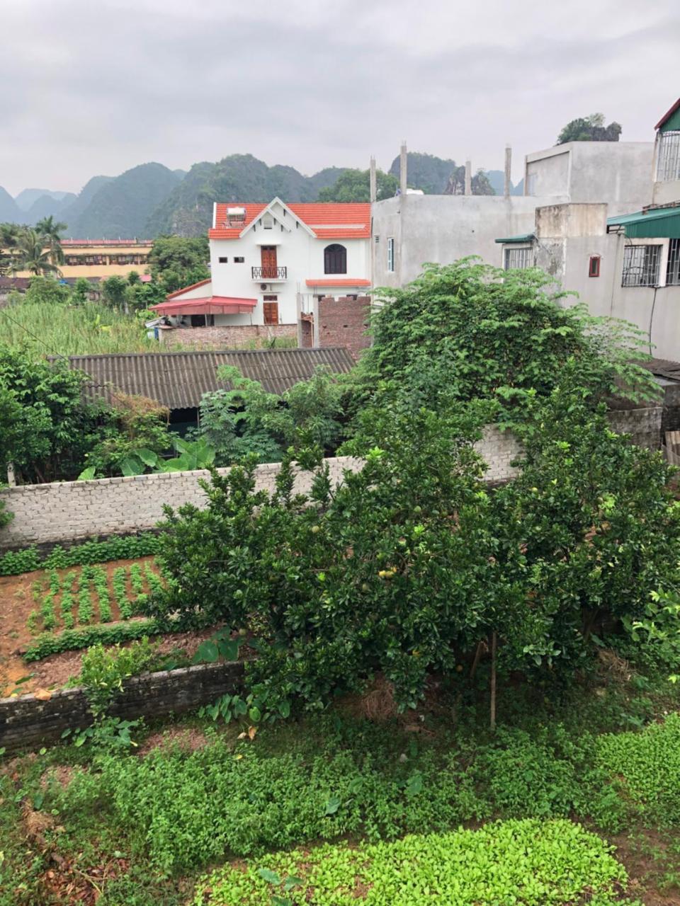 Tam Coc - Thanh Homestay Νιν Μπιν Εξωτερικό φωτογραφία