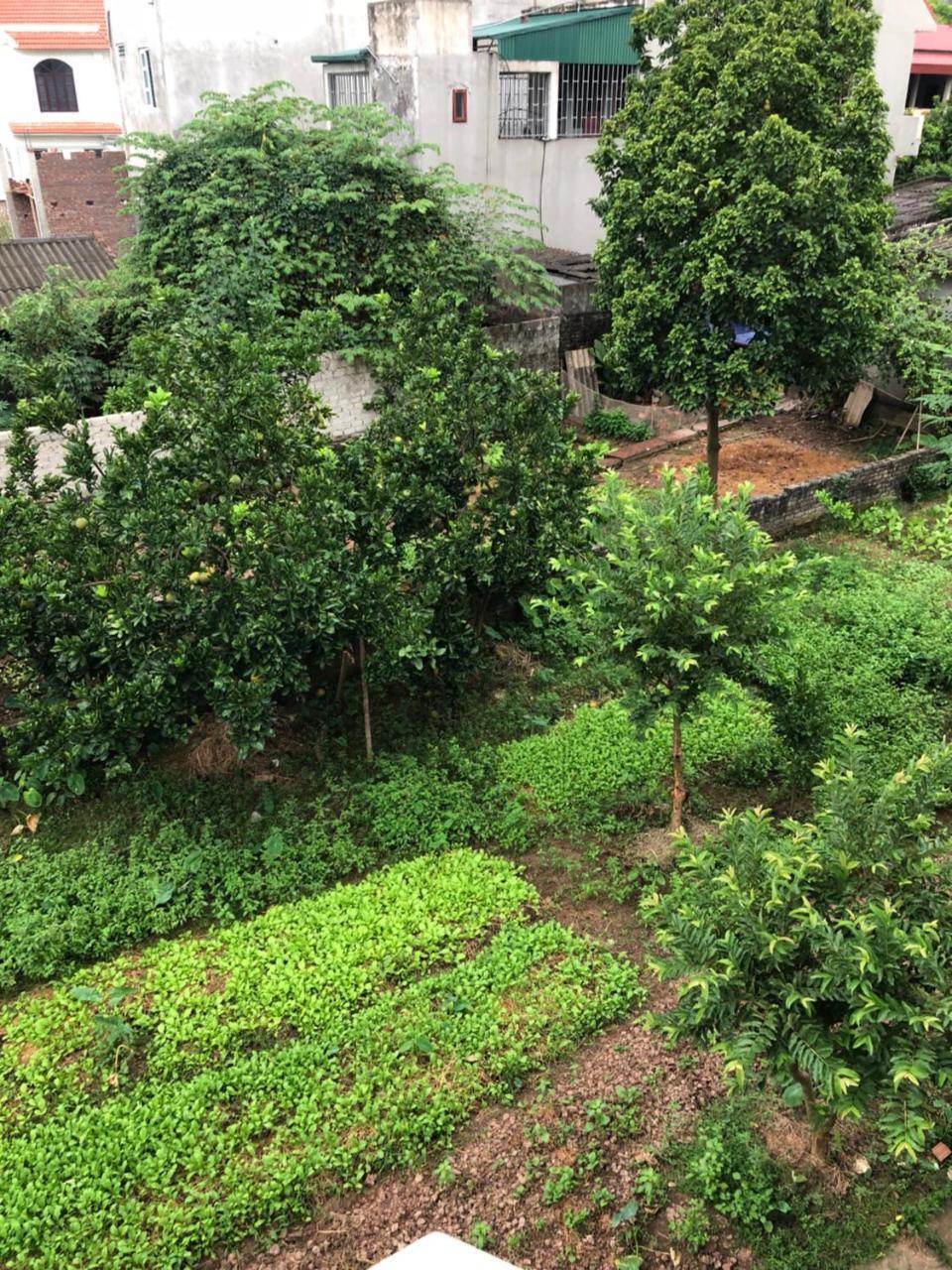 Tam Coc - Thanh Homestay Νιν Μπιν Εξωτερικό φωτογραφία